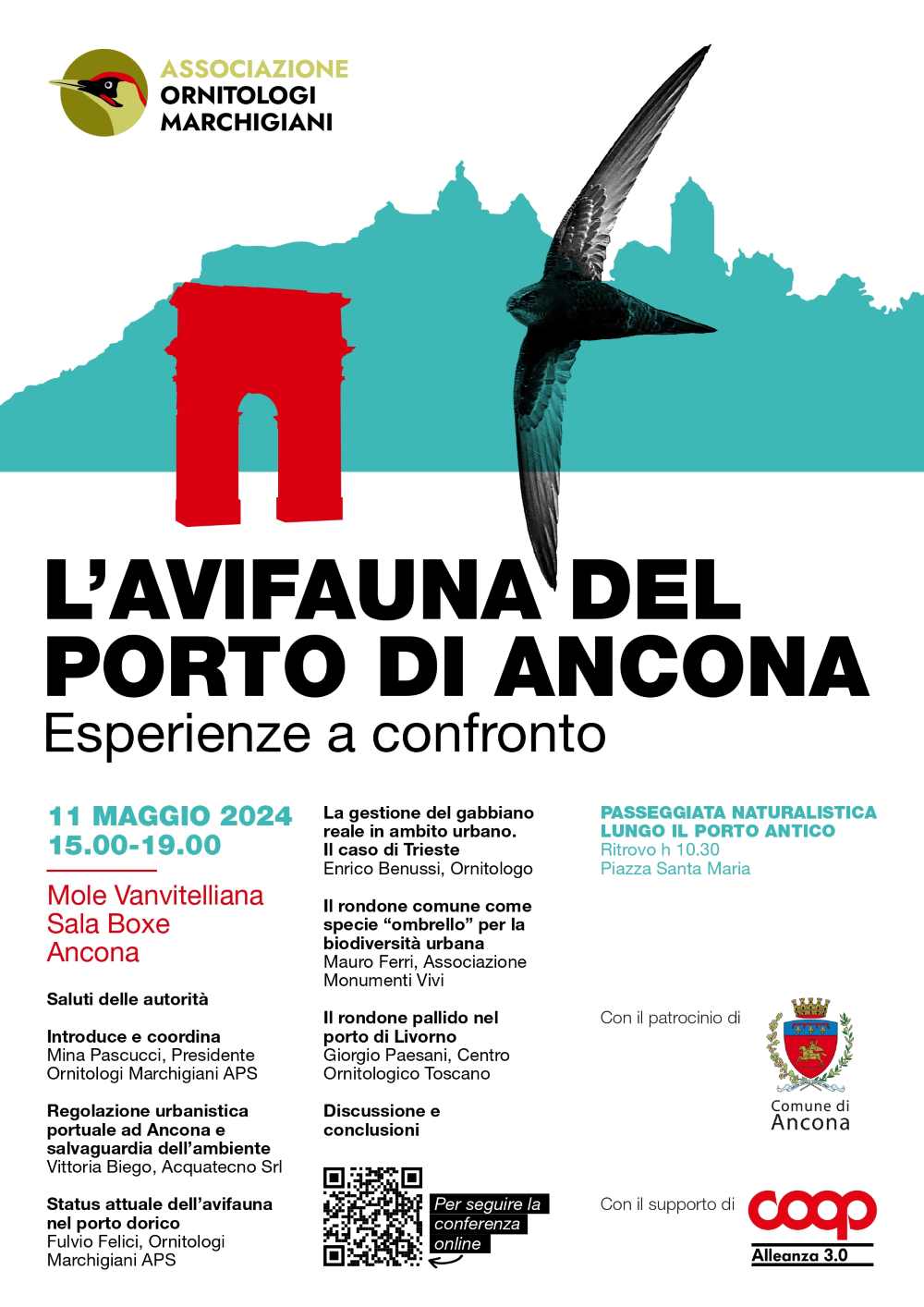 locandina Avifauna del porto di Ancona